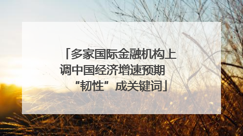 多家国际金融机构上调中国经济增速预期 “韧性”成关键词