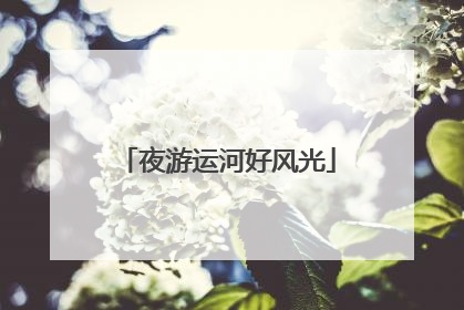夜游运河好风光