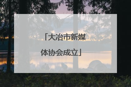 大冶市新媒体协会成立