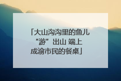 大山沟沟里的鱼儿 “游”出山 端上成渝市民的餐桌