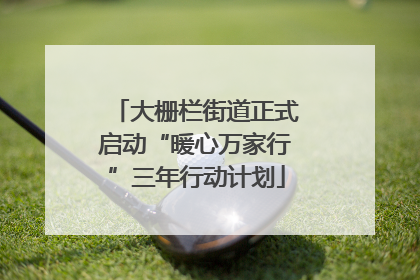 大栅栏街道正式启动“暖心万家行”三年行动计划