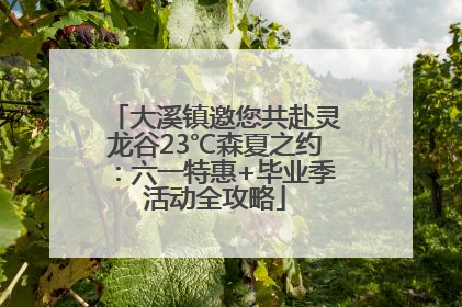 大溪镇邀您共赴灵龙谷23℃森夏之约：六一特惠+毕业季活动全攻略