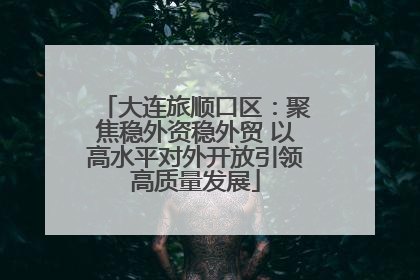 大连旅顺口区：聚焦稳外资稳外贸 以高水平对外开放引领高质量发展