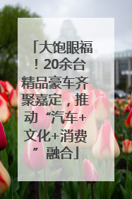 大饱眼福！20余台精品豪车齐聚嘉定，推动“汽车+文化+消费”融合