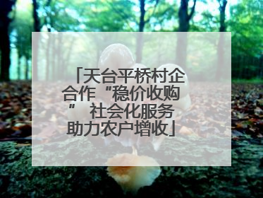 天台平桥村企合作“稳价收购” 社会化服务助力农户增收