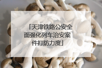 天津铁路公安全面强化列车治安案件打防力度