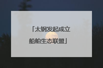 太钢发起成立船舶生态联盟