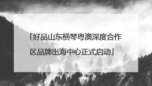 好品山东横琴粤澳深度合作区品牌出海中心正式启动
