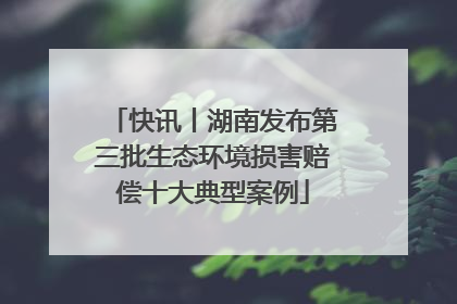 快讯丨湖南发布第三批生态环境损害赔偿十大典型案例