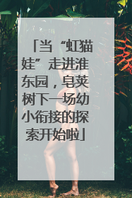 当“虹猫娃”走进淮东园，皂荚树下一场幼小衔接的探索开始啦