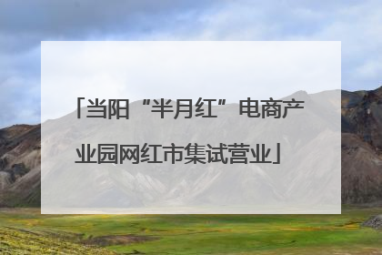 当阳“半月红”电商产业园网红市集试营业