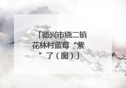 德兴市绕二镇花林村蓝莓“紫”了（图）