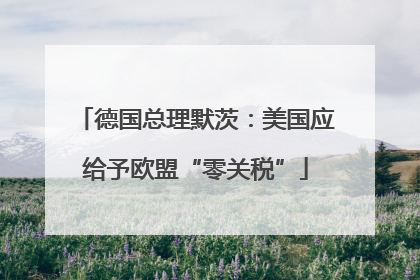 德国总理默茨：美国应给予欧盟“零关税”