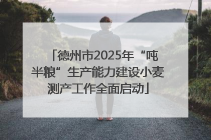 德州市2025年“吨半粮”生产能力建设小麦测产工作全面启动