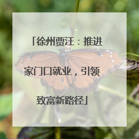 徐州贾汪：推进家门口就业，引领致富新路径