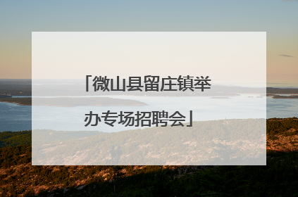 微山县留庄镇举办专场招聘会