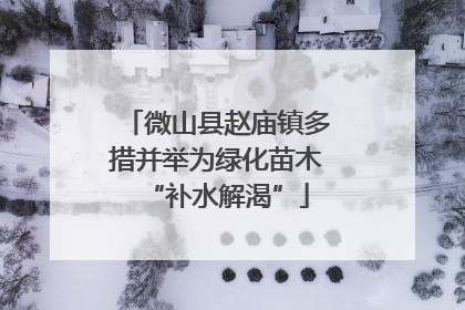微山县赵庙镇多措并举为绿化苗木“补水解渴”