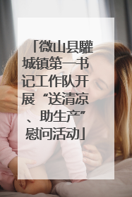 微山县驩城镇第一书记工作队开展“送清凉、助生产”慰问活动