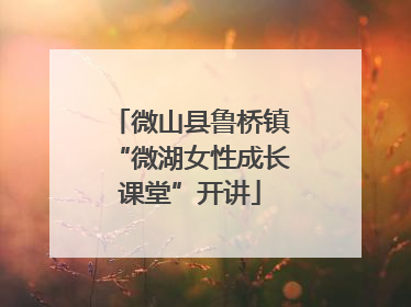 微山县鲁桥镇“微湖女性成长课堂”开讲