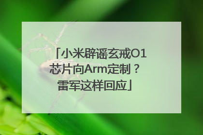 小米辟谣玄戒O1芯片向Arm定制？雷军这样回应
