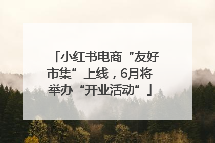 小红书电商“友好市集”上线，6月将举办“开业活动”