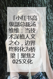 小红书高级副总裁汤维维：当技术深植人文之心，边界终将化为桥梁｜聚焦2025文化强国建设高峰论坛