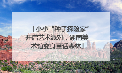 小小“种子探险家”开启艺术派对，湖南美术馆变身童话森林