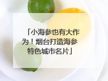 小海参也有大作为！烟台打造海参特色城市名片