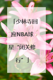 少林寺回应NBA球星“闭关修行”