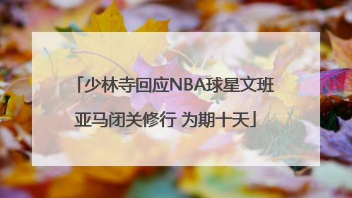 少林寺回应NBA球星文班亚马闭关修行 为期十天