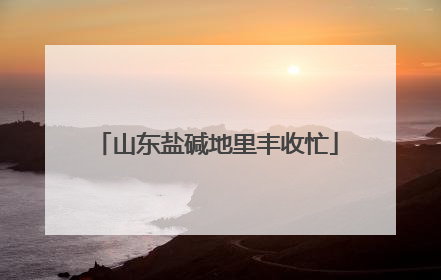 山东盐碱地里丰收忙