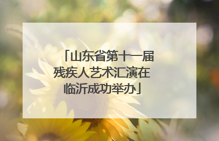 山东省第十一届残疾人艺术汇演在临沂成功举办