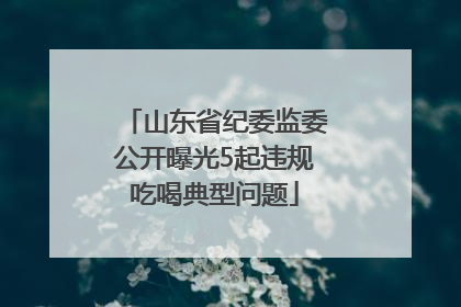 山东省纪委监委公开曝光5起违规吃喝典型问题