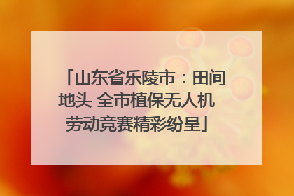山东省乐陵市：田间地头 全市植保无人机劳动竞赛精彩纷呈