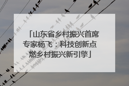 山东省乡村振兴首席专家杨飞：科技创新点燃乡村振兴新引擎