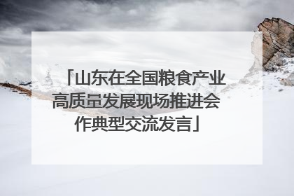 山东在全国粮食产业高质量发展现场推进会作典型交流发言