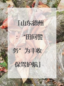 山东德州：“田间警务”为丰收保驾护航