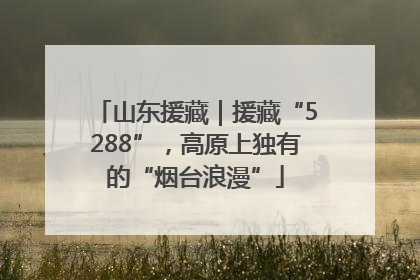 山东援藏｜援藏“5288”，高原上独有的“烟台浪漫”