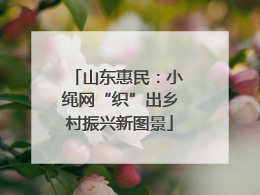 山东惠民：小绳网“织”出乡村振兴新图景