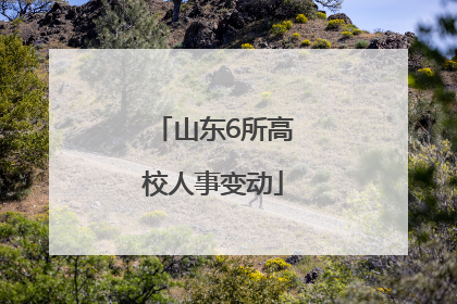 山东6所高校人事变动