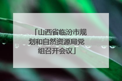 山西省临汾市规划和自然资源局党组召开会议