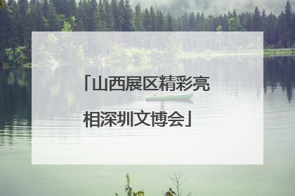 山西展区精彩亮相深圳文博会