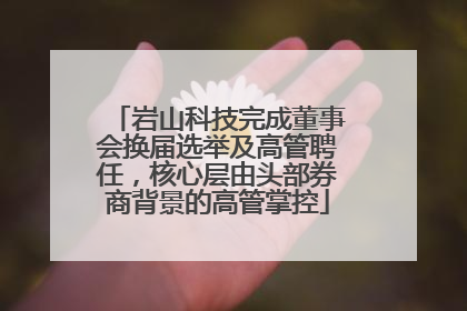 岩山科技完成董事会换届选举及高管聘任，核心层由头部券商背景的高管掌控
