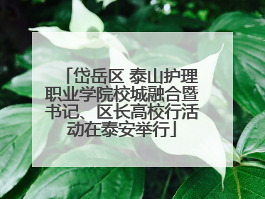 岱岳区 泰山护理职业学院校城融合暨书记、区长高校行活动在泰安举行