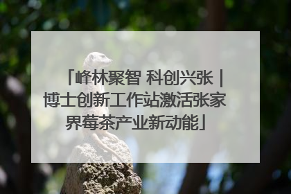 峰林聚智 科创兴张｜博士创新工作站激活张家界莓茶产业新动能