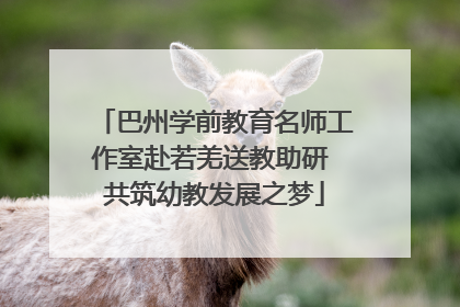 巴州学前教育名师工作室赴若羌送教助研 共筑幼教发展之梦