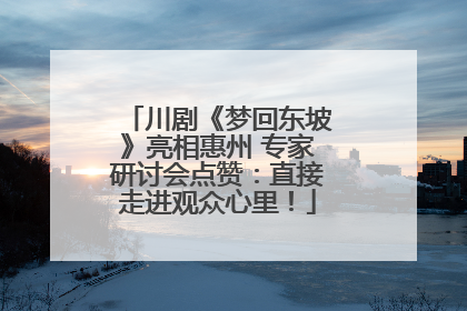 川剧《梦回东坡》亮相惠州 专家研讨会点赞：直接走进观众心里！