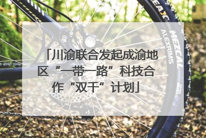 川渝联合发起成渝地区“一带一路”科技合作“双千”计划