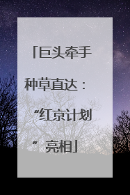 巨头牵手种草直达：“红京计划”亮相