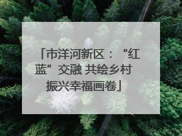 市洋河新区：“红蓝”交融 共绘乡村振兴幸福画卷